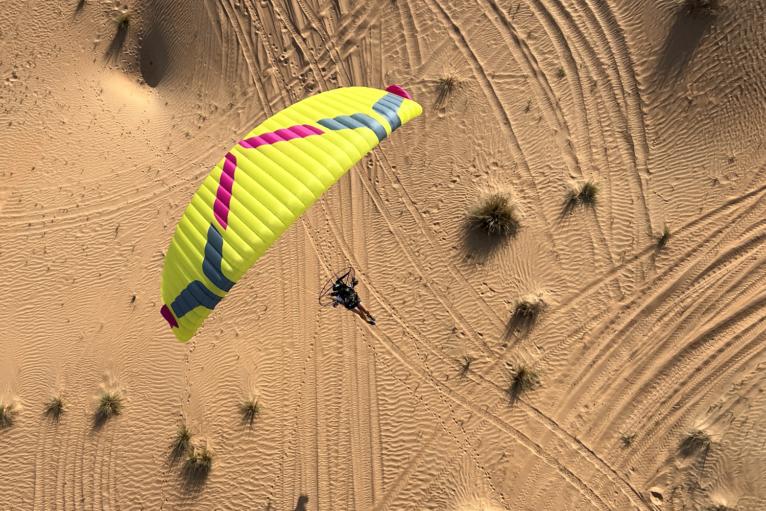 Szkolno - Rekreacyjne - ENA